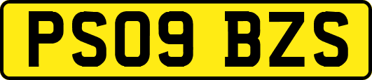 PS09BZS