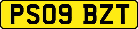 PS09BZT