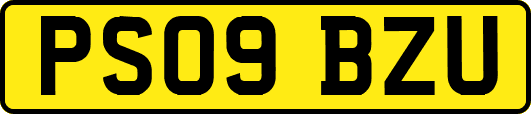PS09BZU