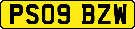 PS09BZW