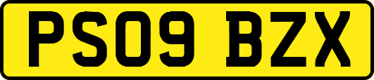 PS09BZX