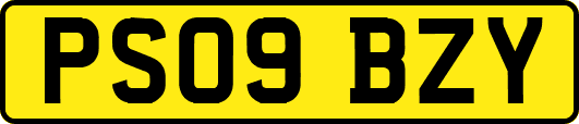 PS09BZY