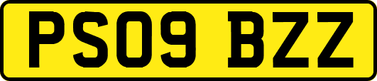 PS09BZZ