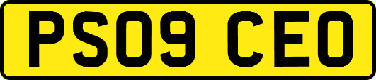 PS09CEO