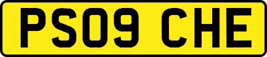 PS09CHE