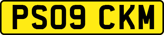 PS09CKM
