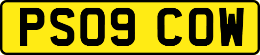 PS09COW