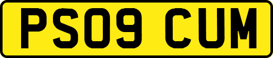 PS09CUM