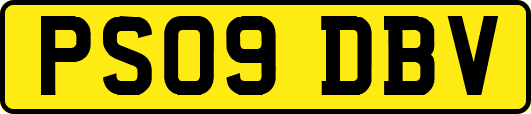 PS09DBV