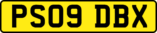 PS09DBX