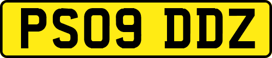 PS09DDZ