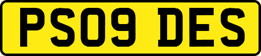 PS09DES