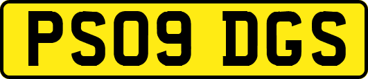 PS09DGS
