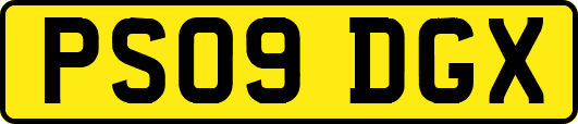 PS09DGX