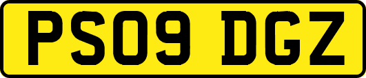 PS09DGZ