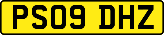 PS09DHZ