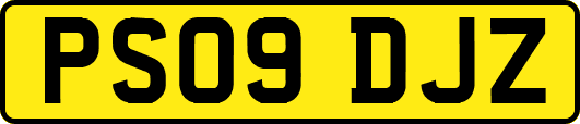 PS09DJZ