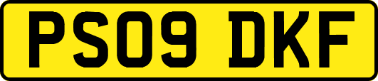 PS09DKF