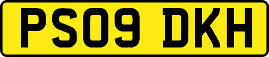 PS09DKH