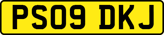 PS09DKJ