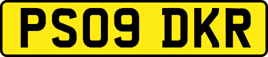 PS09DKR