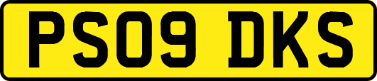 PS09DKS