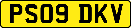 PS09DKV