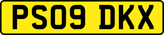 PS09DKX