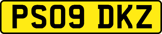PS09DKZ