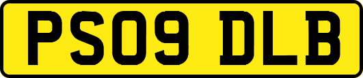 PS09DLB