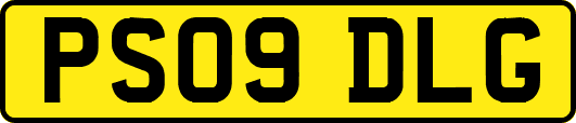 PS09DLG