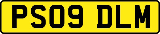PS09DLM