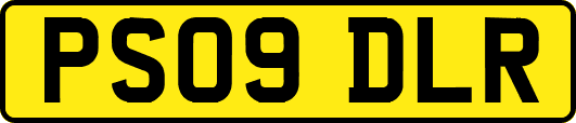 PS09DLR