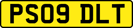 PS09DLT