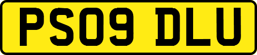 PS09DLU