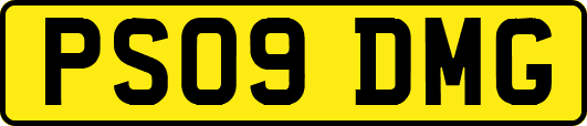 PS09DMG