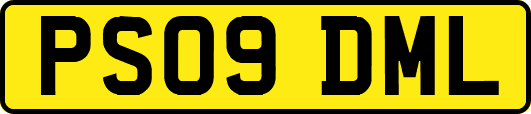 PS09DML