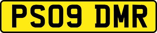 PS09DMR