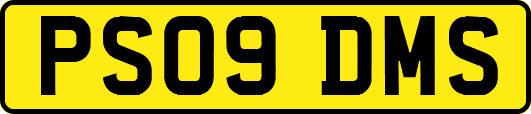 PS09DMS