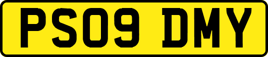 PS09DMY