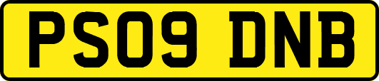 PS09DNB