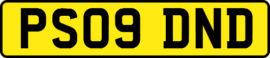 PS09DND