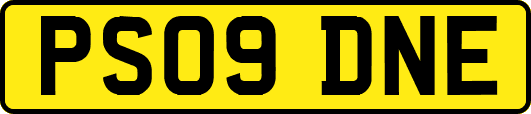 PS09DNE