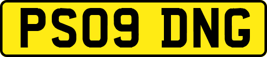 PS09DNG