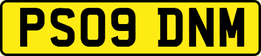 PS09DNM