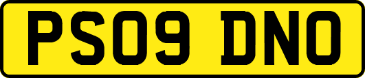 PS09DNO