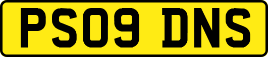 PS09DNS