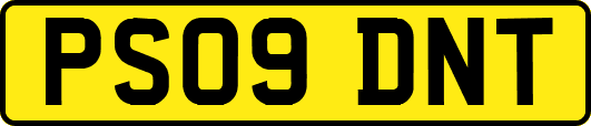 PS09DNT