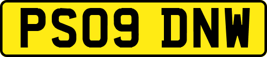 PS09DNW