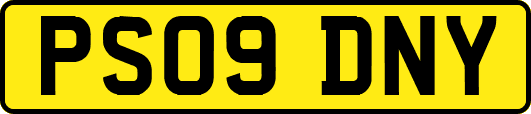 PS09DNY